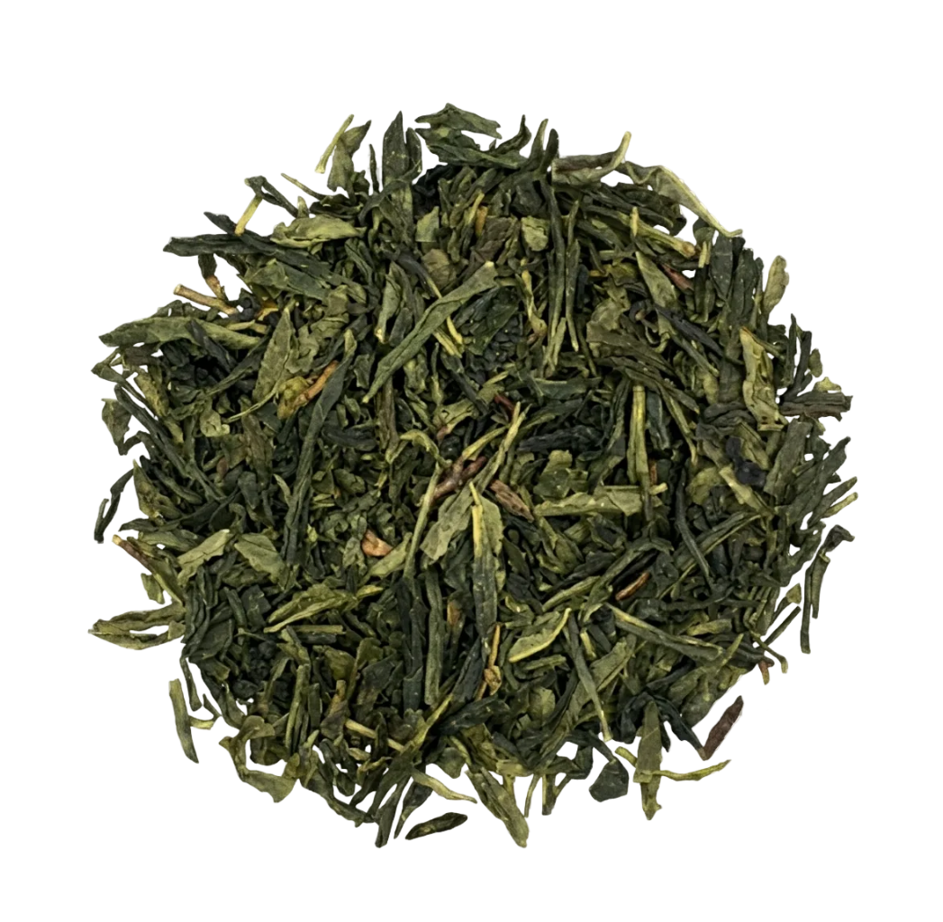 SENCHA