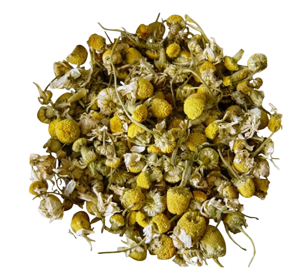 CHAMOMILE FLOWER